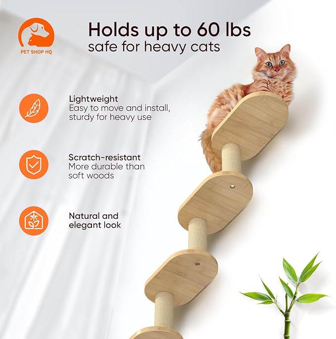 Wall-Mounted Cat Furniture for Climbing - Indoor Wooden Floating Shelves, Perches, Hammock, Bed, Bridges, Walkways - Different Models-Mewly Pet