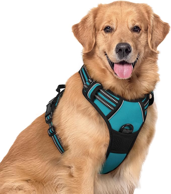rabbitgoo Dog Harness No Pull with 2 Leash Clips, Adjustable Soft Padded, Reflective Oxford No Choke Pet Vest with Easy Control Handle for Large Dogs, Teal, XL-Mewly Pet