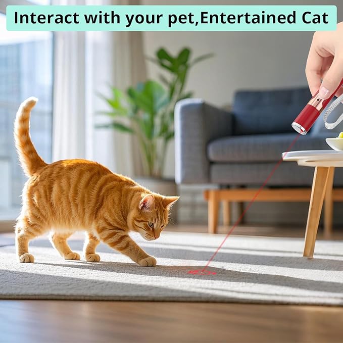 TBTeek Cat Toys for Indoor Cats, 2 Pieces, Rechargeable, 7 Adjustable Patterns, Interactive Kitten Pet Dog Chase Toy for Cats Fun Playing Exercise（Red）-Mewly Pet