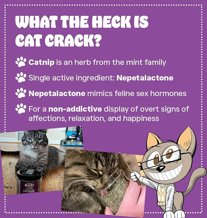 Cat Crack Catnip, Zoomie-Inducing Cat Nip Blend, North American Made & 100% Natural, Safe & Non-Addictive Catnip Treats Used to Supplement Cat Nip Toys, Spray, & Accessories (20 Cups)-Mewly Pet