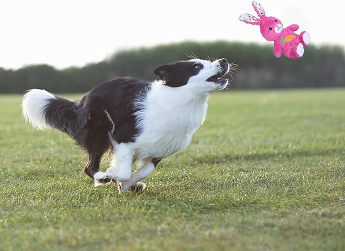 DODODOLA Dog Toys Stuffed Dog Toy with Crinkle Paper Cute Rabbit Plush Bunny Squeaky Dog Easter Toys Dog Chew Toys for Medium Large Breed-Mewly Pet