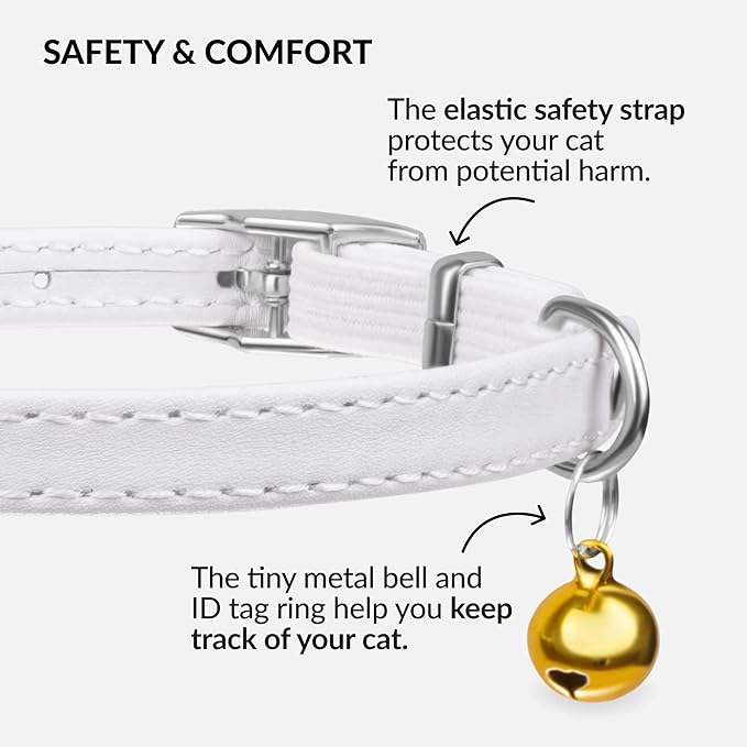 CollarDirect Leather Cat Collar with Bell - Kitten Collar, Small and Big Cat Strap for Boy Cats, Girl Cats with Safety Elastic Strap (Neck Fit 8"-11", White)-Mewly Pet