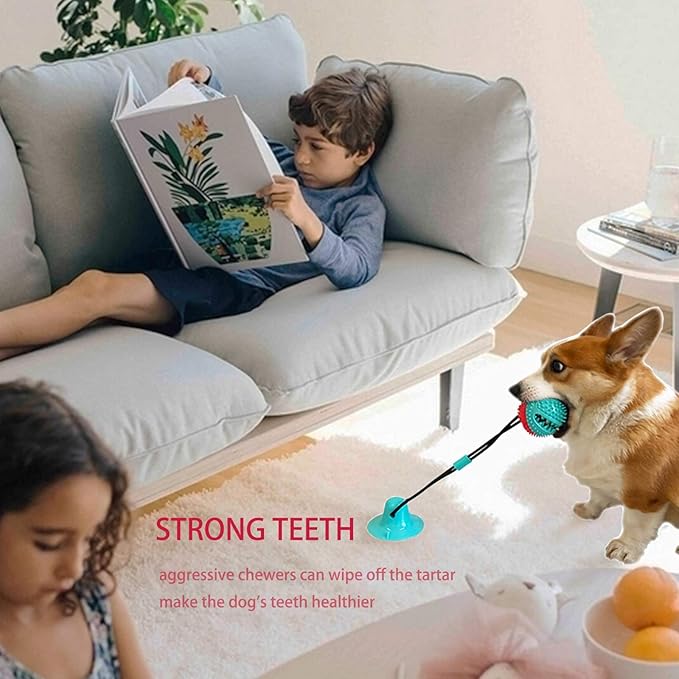 Dog Toys Dog Chew Toys for Aggressive chewers, Puppy Dog Training Treats Teething Rope Toys for Boredom Dog Puzzle Treat Food Dispensing Ball Toys for Puppies Teething (Blue)-Mewly Pet