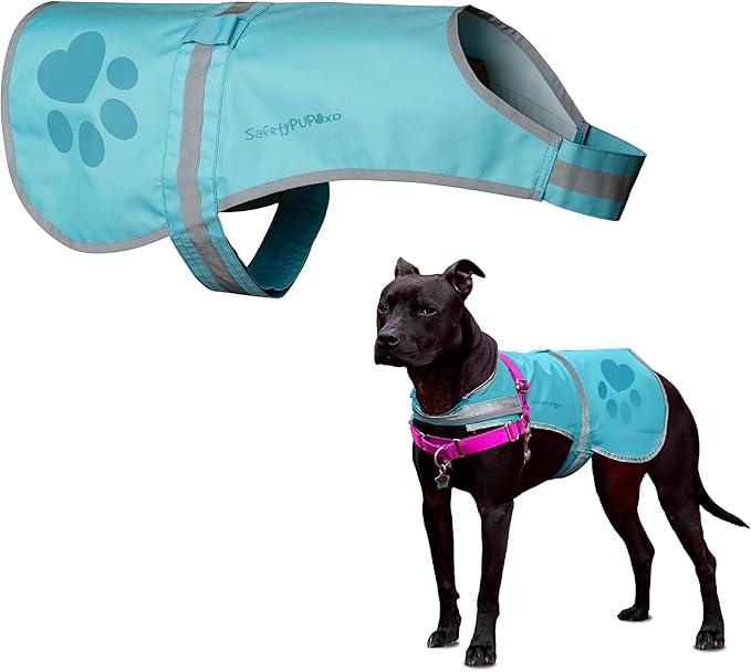 Dog Reflective Vest – Hi-Vis Fluorescent Visibility That Helps to Safeguard Your Pet On/Off Leash in Urban & Rural Areas (Teal, Small)-Mewly Pet