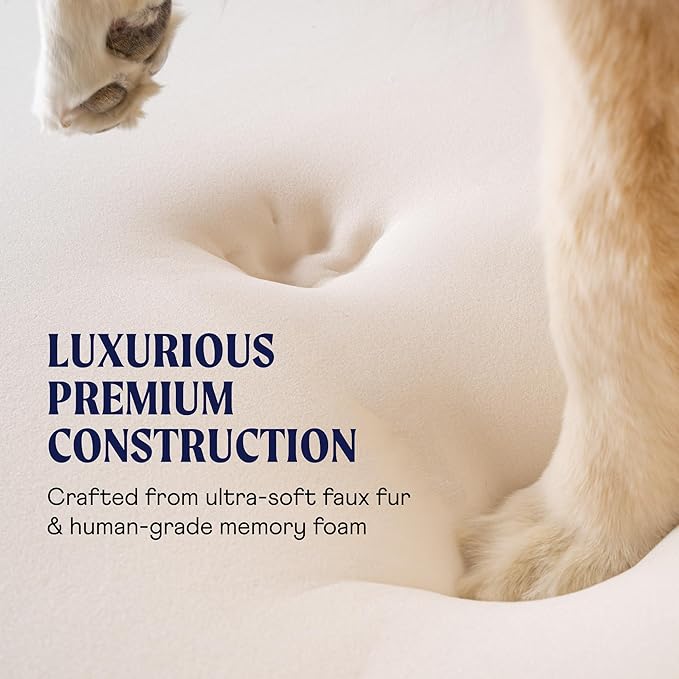 PupRug Orthopedic Dog Bed for Large Dogs with Fluffy Soft Faux Fur and Memory Foam for Joint Pain Relief, Machine Washable and Waterproof Couch Bed, White with Brown Accents, Medium-Mewly Pet