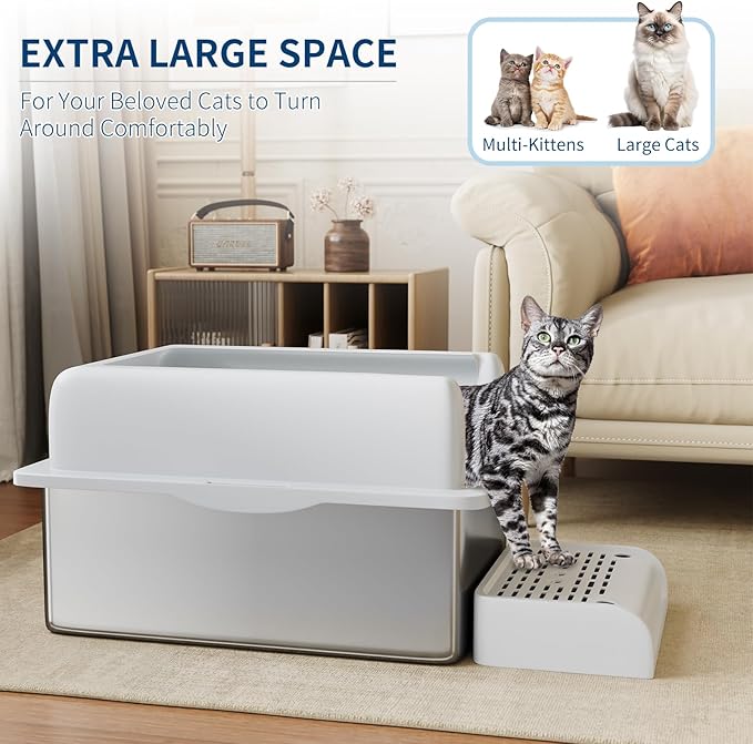 Stainless Steel Cat Litter Box 8 inch, XXL Large Cat Litter Tray with High Side, Platform Step and Scoop for Big Cats Multiple Cats, Easy Clean-Mewly Pet