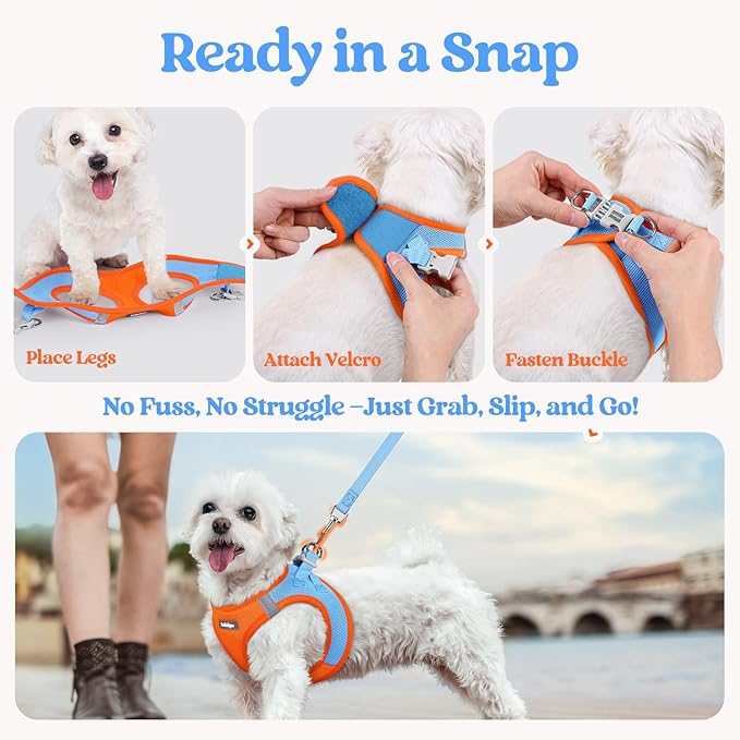 rabbitgoo Dog Harness Small Sized and Leash Set, Step in Soft Light Puppy Vest, Breathable Mesh Pet Harness, Reflective for Safe Easy Walking, Blue & Orange XS-Mewly Pet