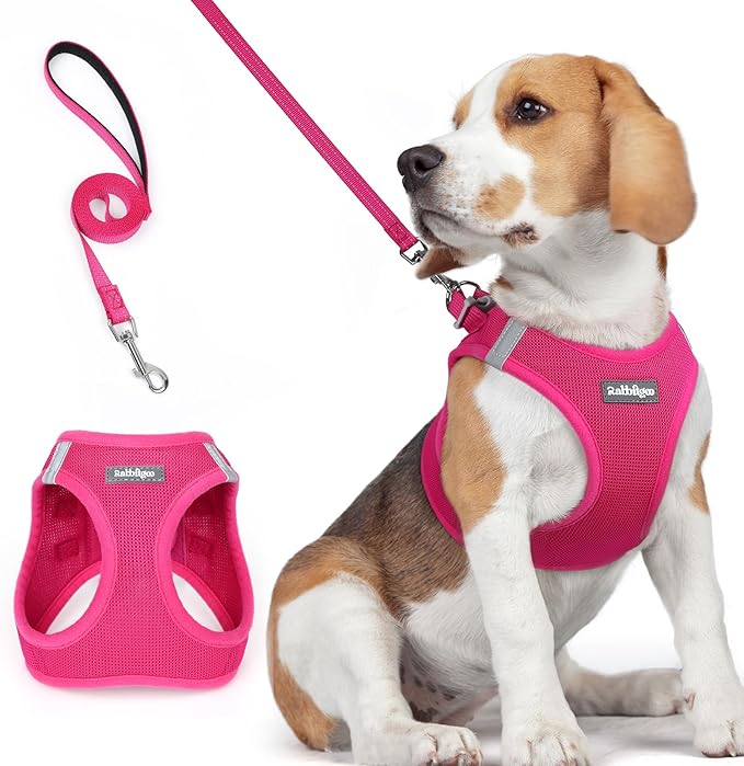rabbitgoo Dog Harness Small Medium Sized and Leash Set, Step in Soft Light Puppy Vest, Breathable Mesh Pet Harness, Reflective for Safe Easy Walking, Rose Red L-Mewly Pet