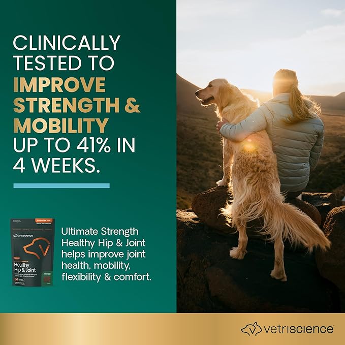 VetriScience Ultimate Strength Healthy Hip & Joint Chews, GlycoFlex Glucosamine, Chondroitin and Green-Lipped Mussel Joint Support Supplement for Dogs, Soothe Joint Discomfort, Duck, 120 Count-Mewly Pet
