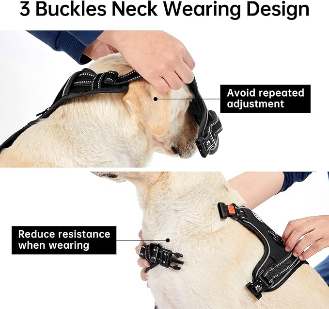 IVY&LANE No Pull Dog Harness for Medium Dogs, Dog Vest Harness with Leash, Safety Belt and Storage Strap, Fully Adjustable Harness, 360° Reflective Strip, Soft Handle (Black, M)-Mewly Pet