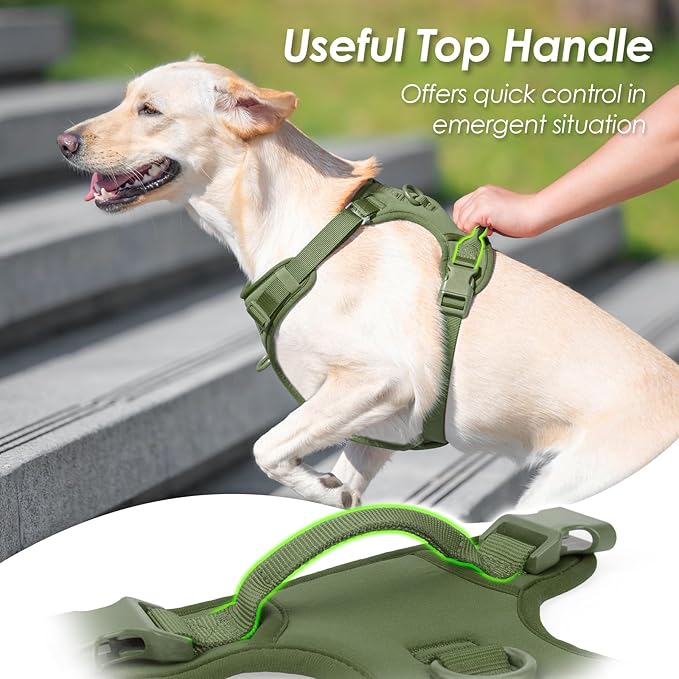 No Pull Dog Harness, Puppy Vest with Front Clip for Small Medium Large Sized Dog (Misty Green,XS)-Mewly Pet