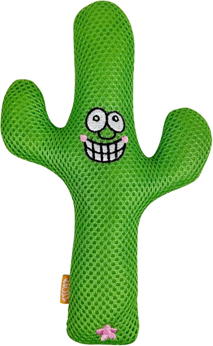 TTcat Catnip Silvervine Matatabi Pillow for Cats & Kittens,Large Cat Cactus Toy Cat Kicker Toy Chew Toy for Indoor Cats.-Mewly Pet