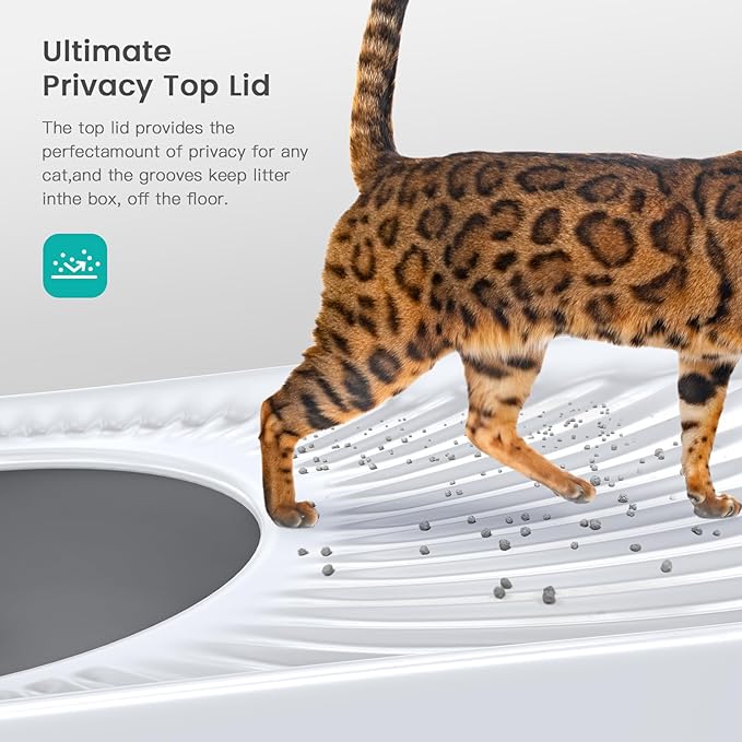 Stainless Steel Cat Litter Box, Large Top Entry Litter Box for Big Cats, Enclosed Kitty Litter Pan with Lid, Metal Cat Box Never Absorbs Odors, Easily Cleaning, Include Scoop-Mewly Pet
