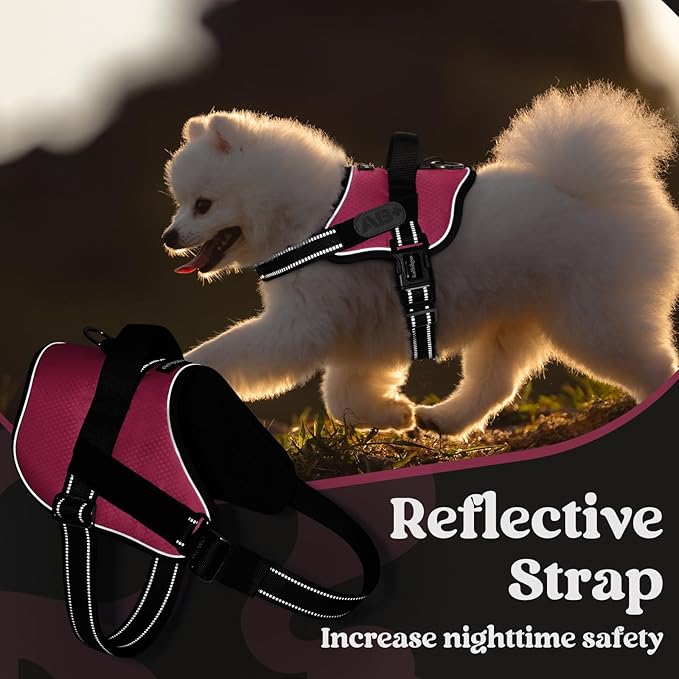 rabbitgoo Dog Harness Medium Sized, Easy On Pet Vest with One Buckle, No Pull Adjustable Service Harness with D-Ring & Handle, Reflective for Safety Walking, Training, Pink, M-Mewly Pet