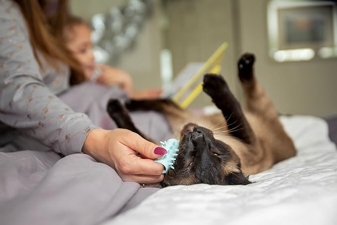 Furr&Purr Cat Brush, Scratcher, and Massager - Indoor Cat Calming Care with Face Scratcher, Finger Brush (3-Pack, Made in USA)-Mewly Pet