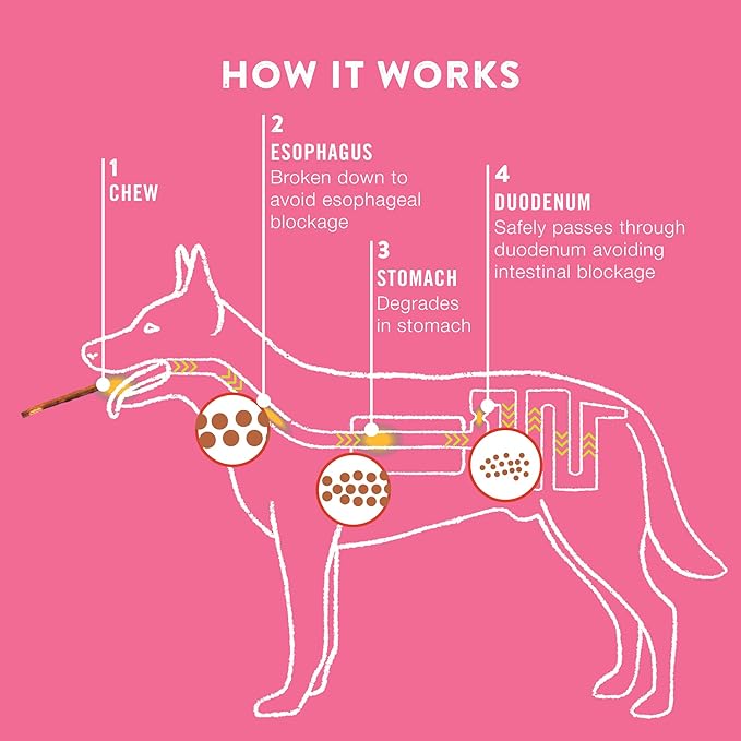 Large Pork Skin Rolls - Chicken-Wrapped Jerky Collagen Rolls - Collagen Chews for Dogs - Real Pork Skin - Rawhide Alternative - Easy to Digest Treat, 1 Bag, 2 Count-Mewly Pet