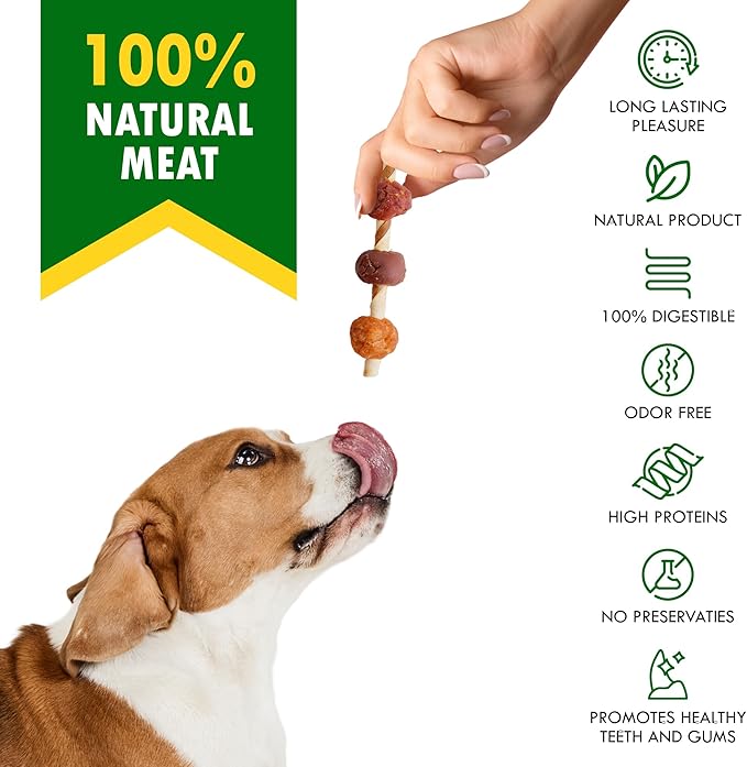 Dog Treats Rawhide Sticks Wrapped with Chicken 11 oz - Pet Natural Chew Treats - Grain Free Meat & Human Grade Dried Snacks - Best for Small & Large Dogs-Mewly Pet