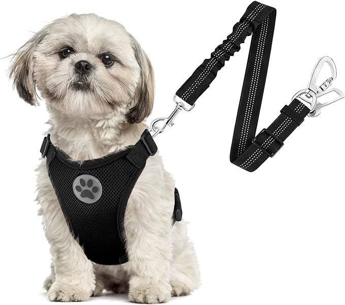 SlowTon Dog Seat Belt Harness for Car, Dog Car Harness Adjustable Mesh Breathable & Dog Seatbelt Safety Tether with Elastic Bungee for Small Medium Large Pets(Black, Double Clip, XS)-Mewly Pet