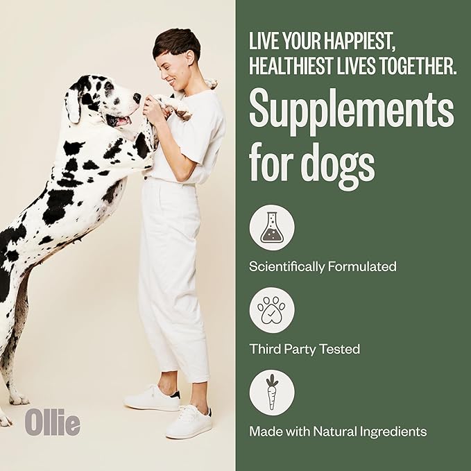 Ollie Belly Rubs, Probiotic Dog Chews, Digestive Health, Natural Ingredients, for Upset Stomach Relief, Appx. 60 Count-Mewly Pet