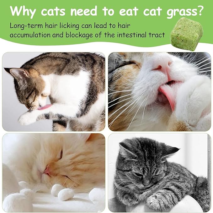 HavenJanny 60g Cat Grass Treats for Cats, Freezed Drying Cat Grass Teething Stick Snacks for Kitty, Edible Cats Chew Toys for Teeth Cleaning and Hairball Removal-Mewly Pet