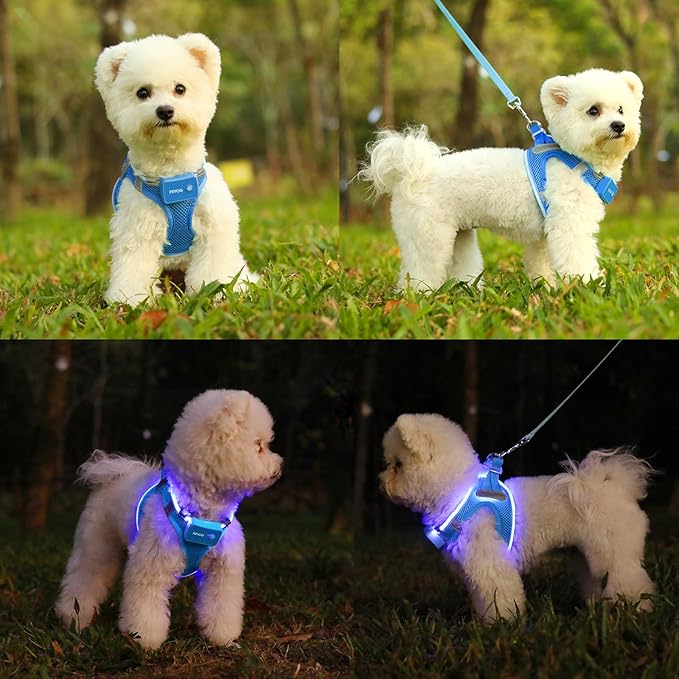Light Up Dog Harness,Rechargeable LED Dog Harness for Small Medium Large Dogs,Reflective Lighted Safety Vest for Night Walking & Camping,Lightweight & Adjustable,Sky Blue,L-Mewly Pet