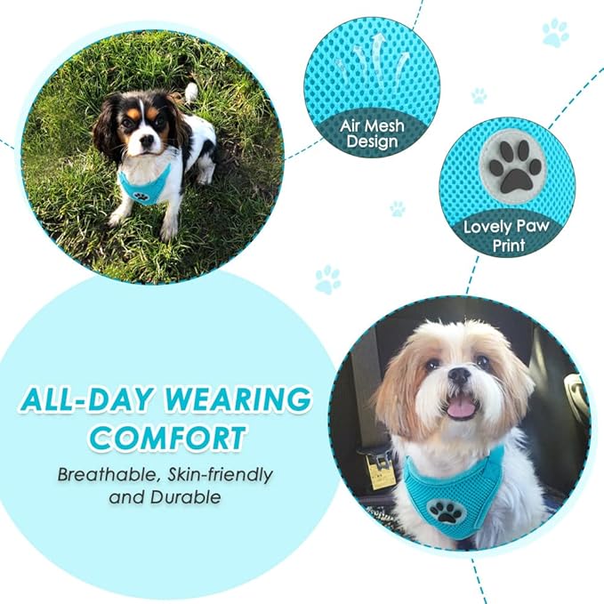 Lukovee Dog Seat Belt for Car, Adjustable Dog Car Harness for Large Medium Small Dogs, Soft Padded & Breathable Mesh Dog Seatbelt with Car Strap and Carabiner(Light Blue Double Clip,X-Small)-Mewly Pet