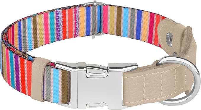 AirTag Dog Collar for Small Medium Large Breed - Adjustable Cute Pattern Dog Collar with Airtag Holder - Soft Leather Tracker GPS Apple Air Tag Pet Collars (X-Small, 9"-12" Neck Fit, Serape)-Mewly Pet