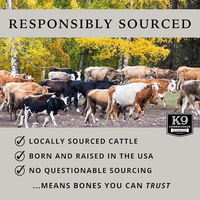 K9 Connoisseur Beef Marrow Dog Bones Long Lasting for Aggressive Chewers - USA Made Single Ingredient Dynamo Bone for Small and Medium Dogs Upto 50 Pounds - 6 Pack-Mewly Pet