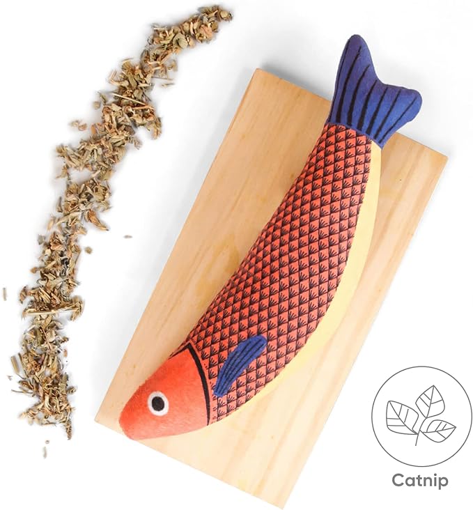 Catnip Toy, 3PCS Cat Chew Toys, Bite Resistant Catnip Toys with Bell Inside, Plush Cartoon Kitten Teething Interactive Toy for Cats-Mewly Pet