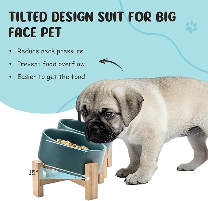 SPUNKYJUNKY 15° Slanted Ceramic Dog and Cat Bowl with Wooden Stand, Tilted Bulldog Food and Water Bowl No Slip Non-Spill for Cats Medium Dogs Big Face Pets 13.5 OZ (1.7 Cups, Green × 2)-Mewly Pet