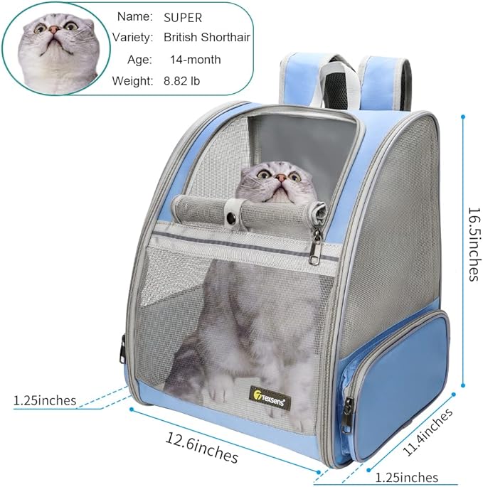Texsens Pet Backpack Carrier for Small Cats Dogs | Ventilated Design, Safety Straps, Buckle Support, Collapsible | Designed for Travel, Hiking & Outdoor Use (Blue)-Mewly Pet