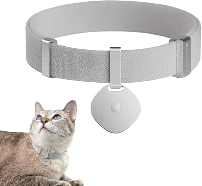 Safety Cat Collar Pro and Tag Set - U.S. IDA Gold Award, Elastic Release Cat Collar Charm Tag, Non Breakaway Cat Collar Adjustable with Charm for Kitten Small Large Cats (Glacier Silver, M)-Mewly Pet