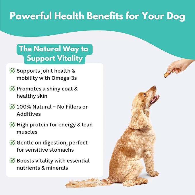 ALFIE'S TREATOS Green Lipped Mussels for Dogs & Cats (5.3 oz, 2x2.65 oz), Value Bundle, Air-Dried Dog Treats, Natural Supplement & Omega-3 Food Topper, Single Ingredient, Freeze-Dried Alternative-Mewly Pet