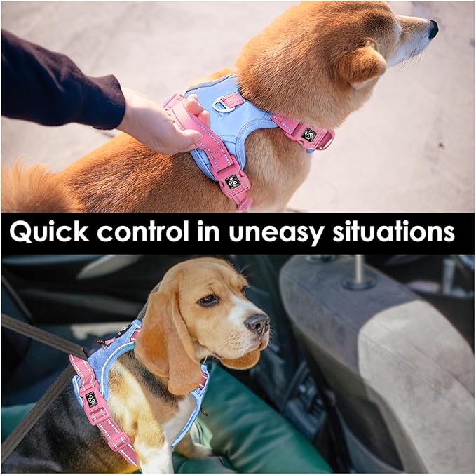 PHOEPET No Pull Dog Harness, Unique Colors Reflective Adjustable Dog Vest, with Soft Training Handle Metal Clips for Small Medium Large Dogs (Baby Blue Base & Pink Straps,L)-Mewly Pet