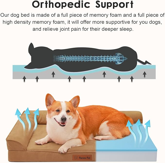 Chew Proof Dog Bed, 3" Memory Foam Dog Bed for Medium and Large Dogs, Removable and Washable Microsuede Cover, Waterproof Liner, Nonskid Bottom, 36x27 Inches L Khaki-Mewly Pet