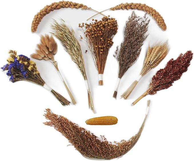 Natural Hamster Bedding - Flowers, Herbs, Sprays, Treat Cereal Grain for Cage Habitat Enclosure Decor - Hamster Chews for Dwarf Syrian Gerbils, Mice, Rat Forage - Pet Accessories-Mewly Pet