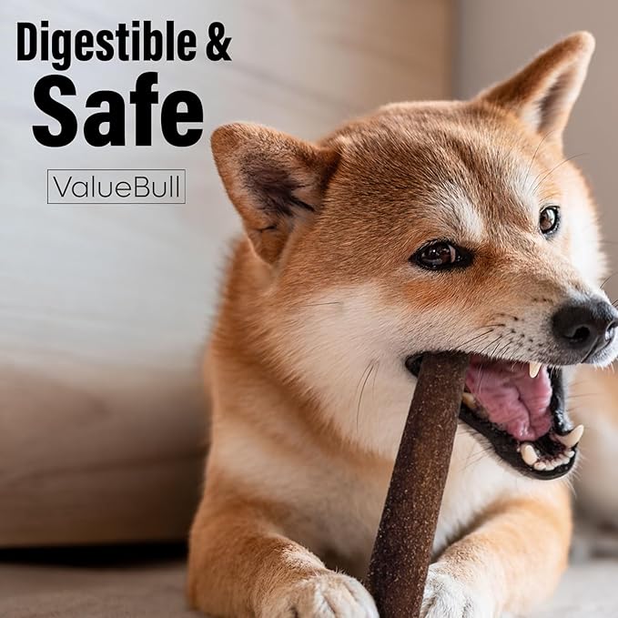 ValueBull Collagen Sticks for Dogs, 12 Inch Thick Chews, Natural Long-Lasting Dog Treats, 100 Count Bulk Pack - Supports Joints, Skin & Coat with Chondroitin & Glucosamine-Mewly Pet