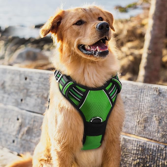 rabbitgoo Dog Harness for Large Dogs, No Pull Pet Vest with 3 Buckles, Adjustable Soft Padded Pet Harness with Easy Control Handle and Reflective Strips, Green, XL-Mewly Pet