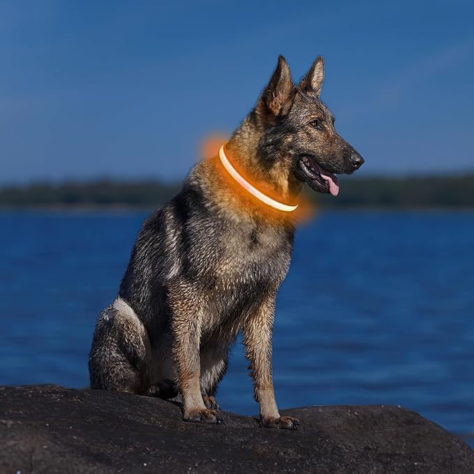 PcEoTllar Light up Dog Collar for Night Walking - LED Dog Collar Light Rechargeable Color Changing, Glow in The Dark Dog Collars Waterproof Glowing Dog Collars for Large Small Medium Dogs-Mewly Pet
