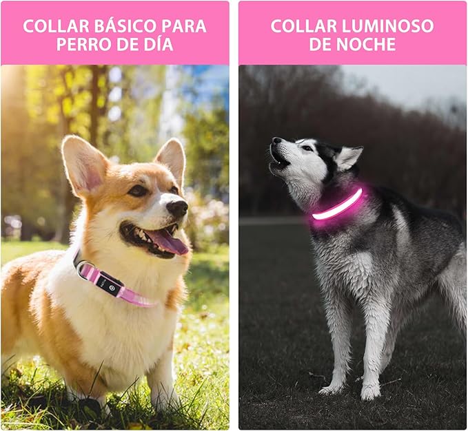 PcEoTllar Light up Dog Collar for Night Walking - LED Dog Collar Light Rechargeable Color Changing, Glow in The Dark Dog Collars Waterproof Glowing Dog Collars for Large Small Medium Dogs-Mewly Pet