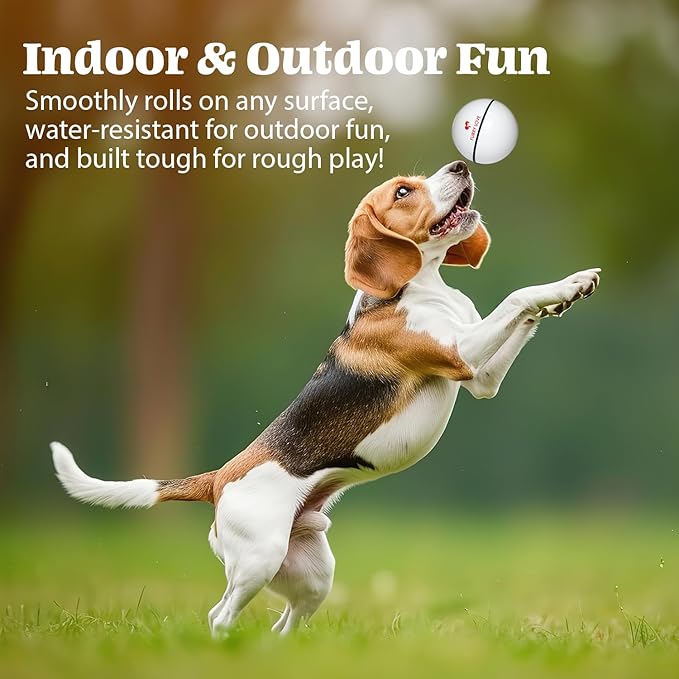 Wicked Ball - Smart Interactive Dog Ball for Solo Play - Electronic Self-Moving Dog Toys for Boredom - Rechargeable, Motion Activated - 35"-Mewly Pet