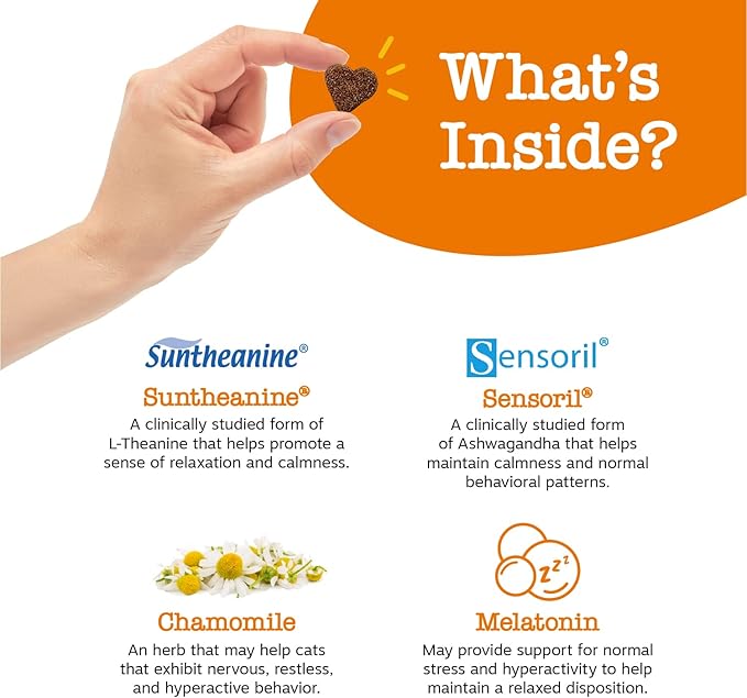 Zesty Paws Calming Chews for Cats - Composure & Relaxation for Everyday Stress & Separation - with Ashwagandha, Organic Chamomile, L-Theanine & L-Tryptophan – Bacon - 60 Count - Cat-Mewly Pet