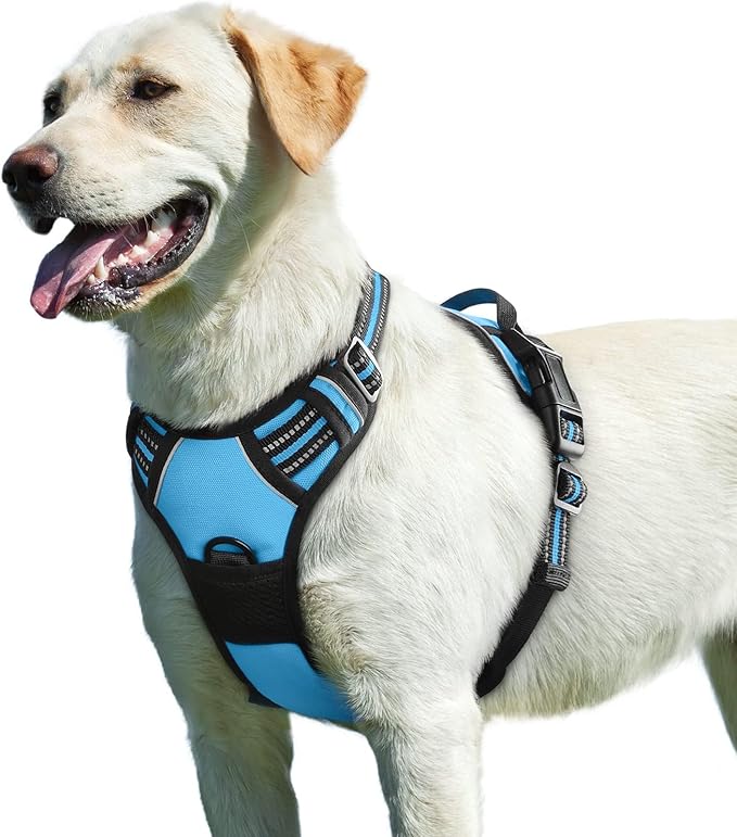Eagloo Dog Harness for Large Dogs, No Pull Service Vest with Reflective Strips and Control Handle, Adjustable and Comfortable for Easy Walking, No Choke Pet Harness with 2 Metal Rings, Sky Blue, L-Mewly Pet