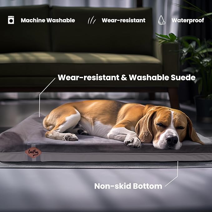 Laifug Orthopedic Memory Foam Dog Bed with Pillow and Durable Water Proof Liner & Removable Washable Cover & Smart Design Medium (34"x22"x5.5"), Grey-Mewly Pet