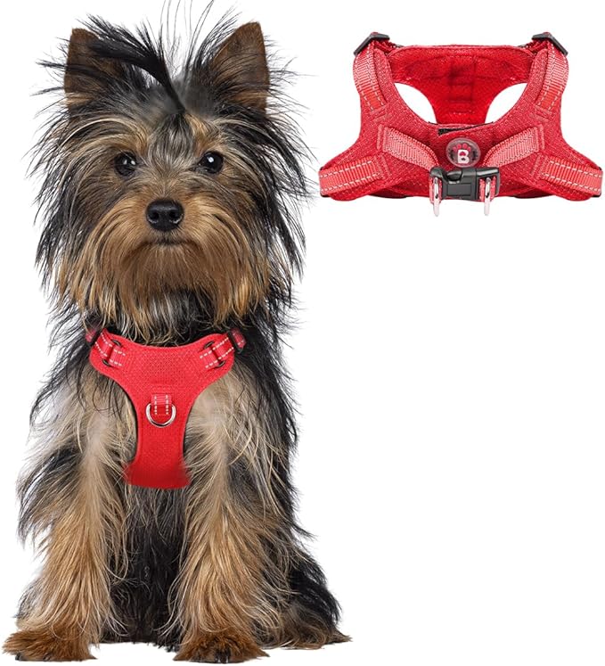 Dog Harness Step in Dog Vest Harness, Reflective Adjustable Puppy No Pull Harness Breathable Soft for Small and Medium Dogs Cats, Red, XXS-Mewly Pet