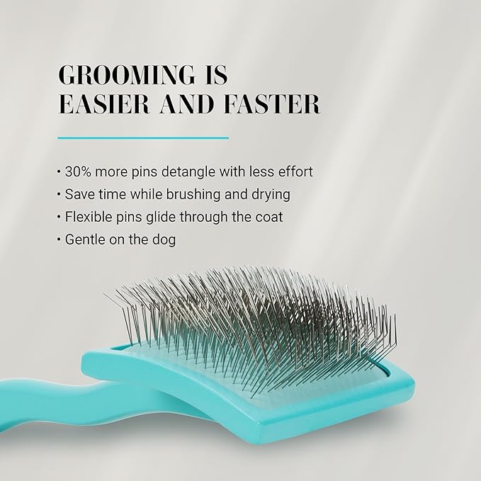 Chris Christensen Big G Dog Slicker Brush for Dogs (Goldendoodles, Labradoodles, Poodles), Groom Like a Professional, Fluff Detangle Style, Saves Time Energy, Teal, Medium-Mewly Pet