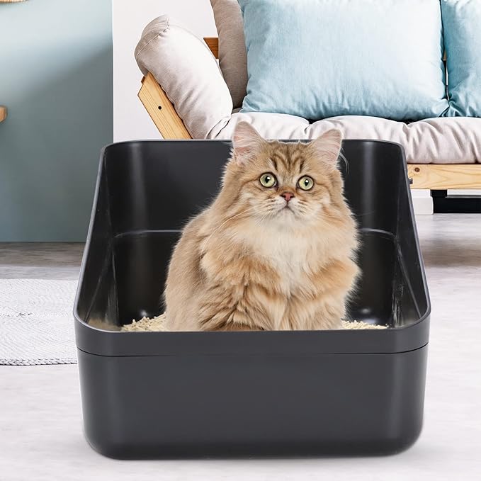 Sfozstra Open Top Litter Box: Black Medium Size with High Sides & Anti Leak Design, Easy Clean Litter Pan for Home Cats-Mewly Pet