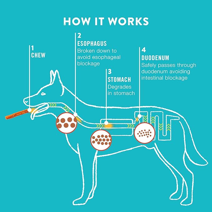 Collagen Rolls - 9" Collagen Rolls for Dogs - Long Lasting Healthy Joint Support Dog Treat - Rawhide Alternative - Skin & Coat Health - Made with Real Chicken, 1 Bag, 3 Count-Mewly Pet