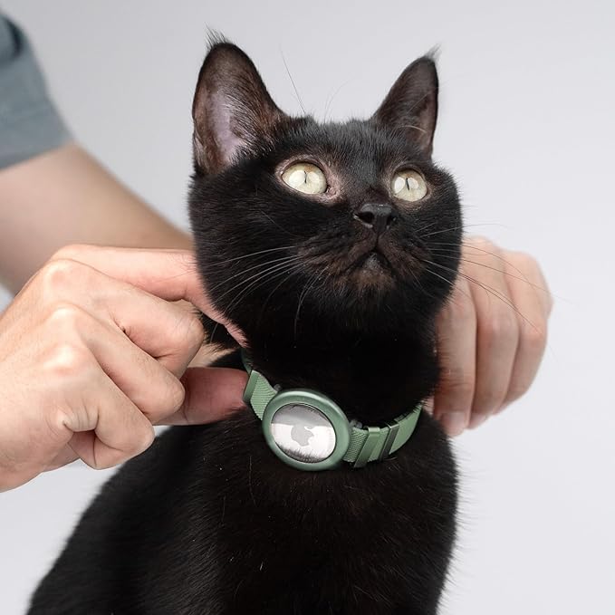 Safety Cat Collar - U.S. IDA Gold Award Design, Stretchy Elastic Quick Release Non Breakaway Cat Collar Light Weight for Kitten All Small Medium Large Cats (Olive, S (5.9-11.8 inch))-Mewly Pet