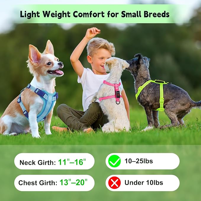 Rechargeable Light Up Dog Harness for Small Dogs – Adjustable LED Dog Vest with Reflective Strips, No Pull Glow in The Dark Puppy Harness for Night Walking Safety-Green-Mewly Pet